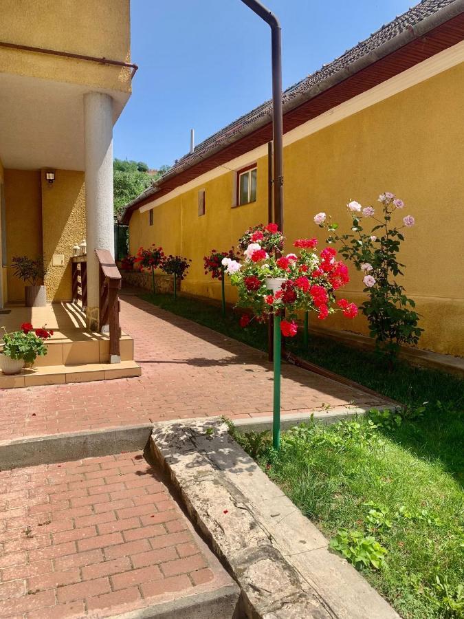 Casa Ramona Daire Turda Dış mekan fotoğraf